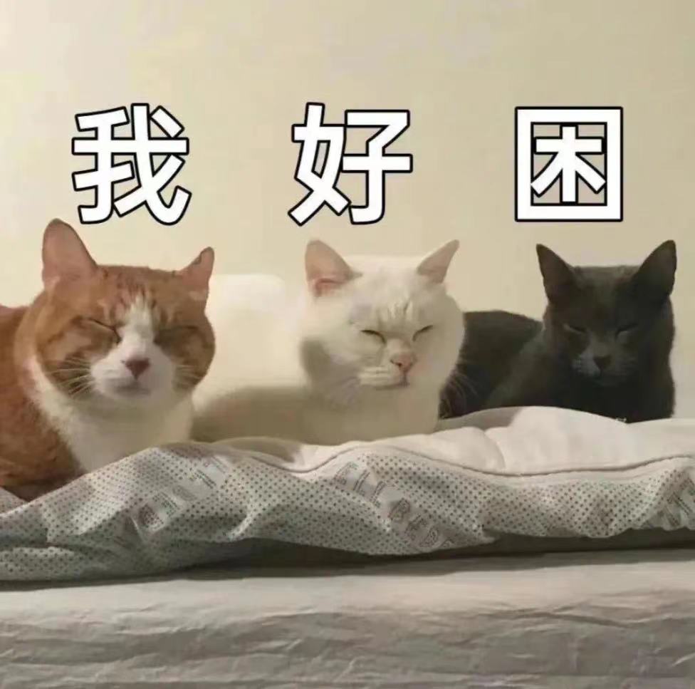 微(wēi)信圖片_20230306094443.jpg