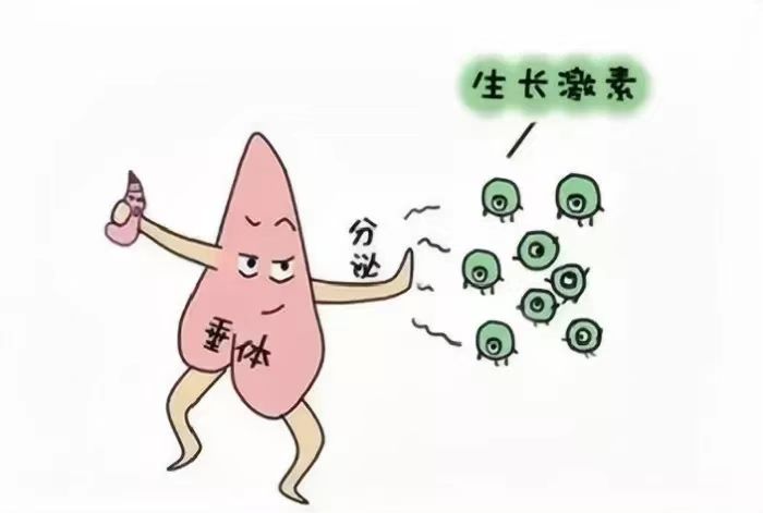 微(wēi)信圖片_20230320094341.jpg