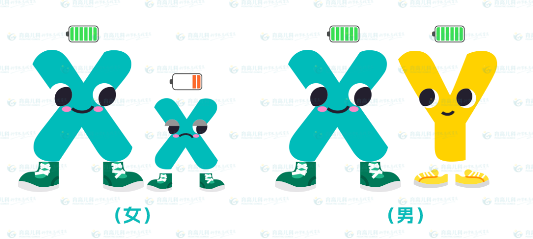640 (4).png