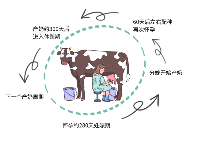 640 (2).png