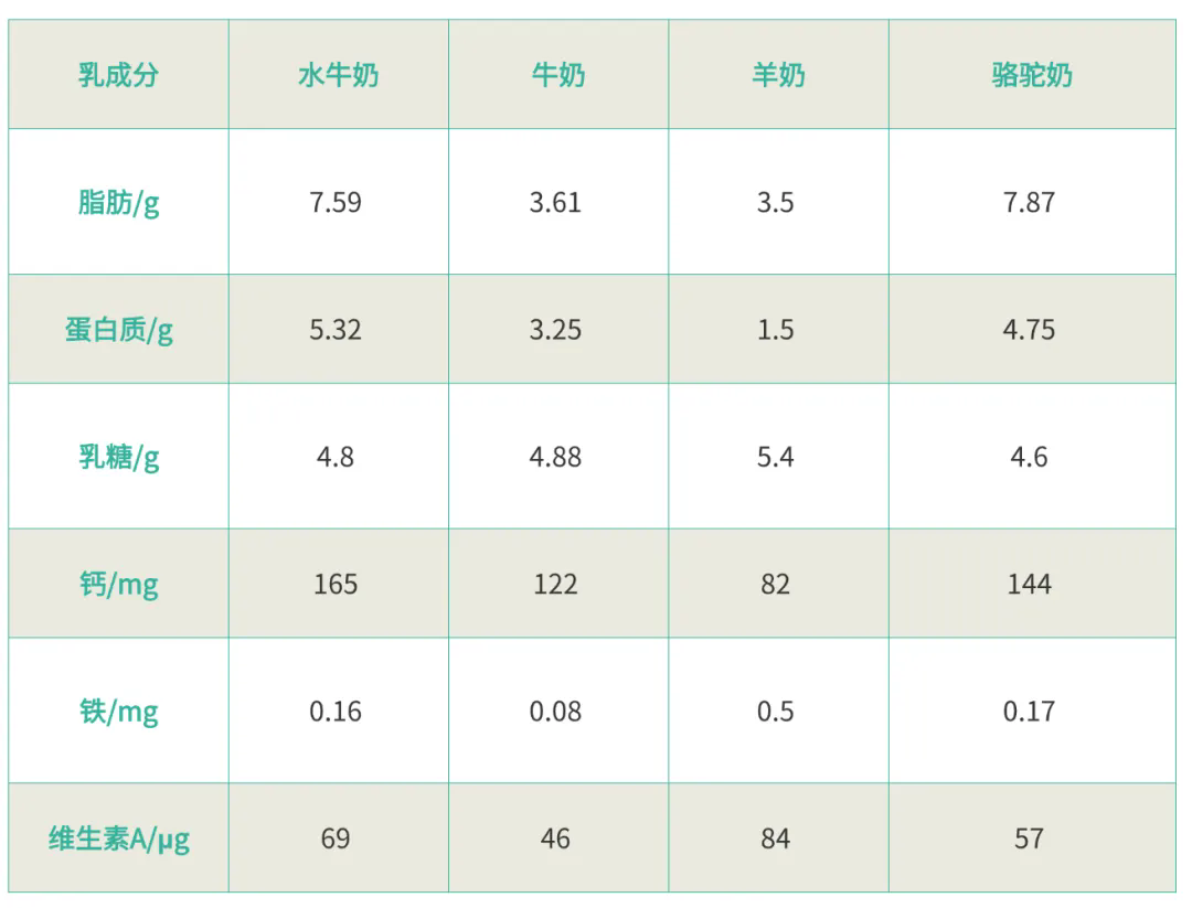 640.webp (1).png