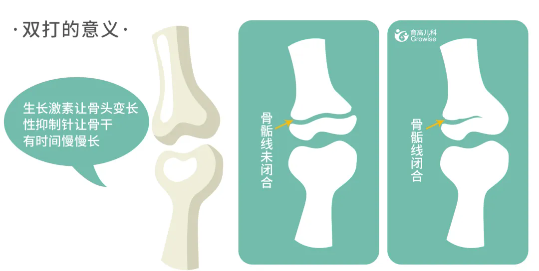 640.webp (3).png